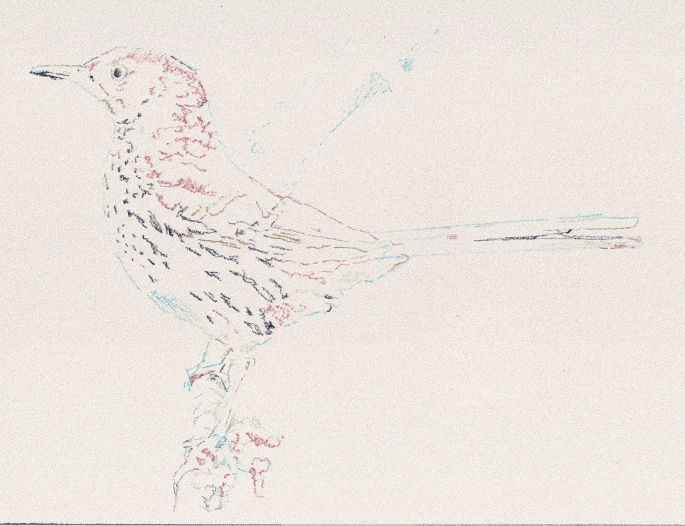 Three Thousand Songs